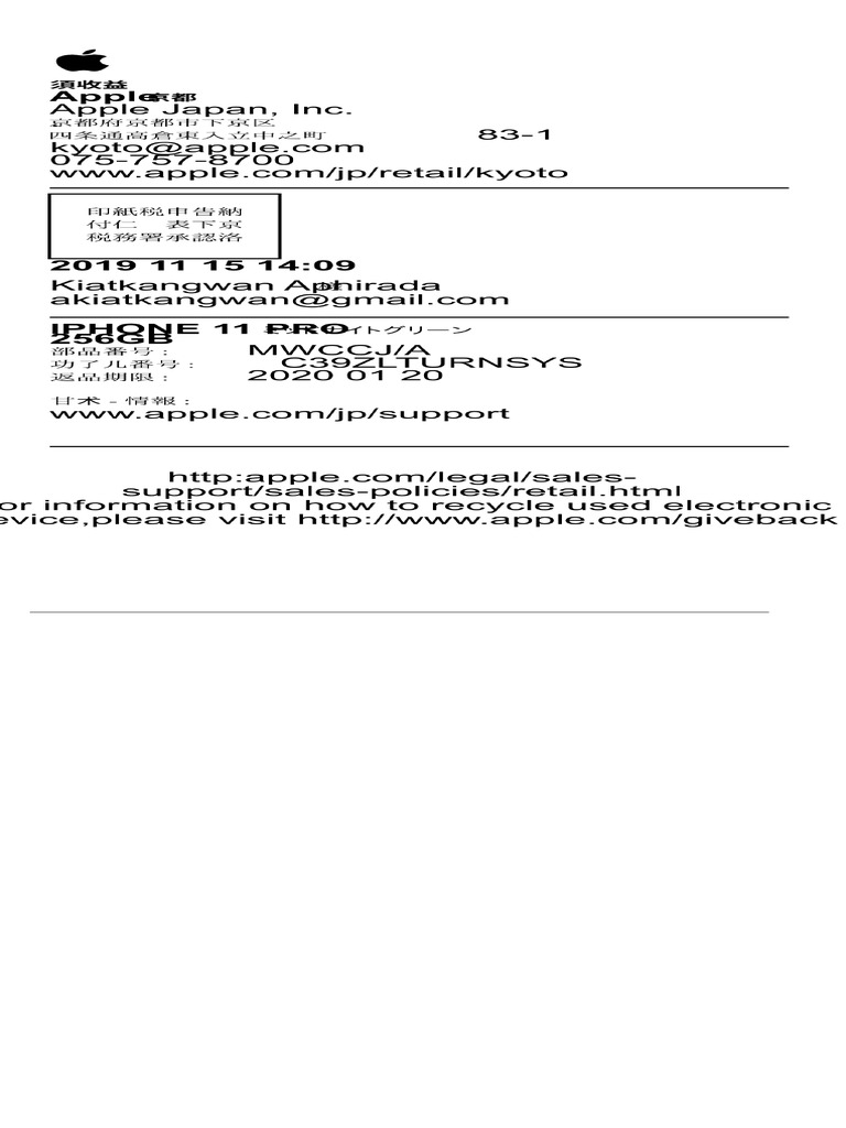 Apple Store PDF | PDF