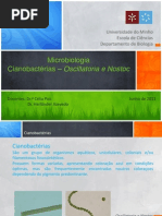 Microbiologia Cianobacterias