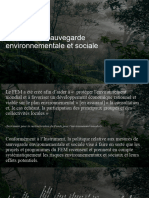 Environmental and Social Safeguards-FR