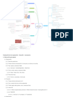 Evaluación de La Respiración - Fonación - Resonancia