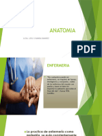 ANATOMIA