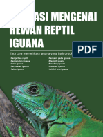 Mengenal Iguana