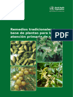 Traditional Herbal Remedies For Primary Health Care (Español)