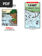 K Leap a Salmon Story