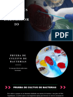 Pruebas de Cultivo