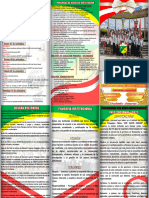 TRIPTICO 1.pdf Chocano 1