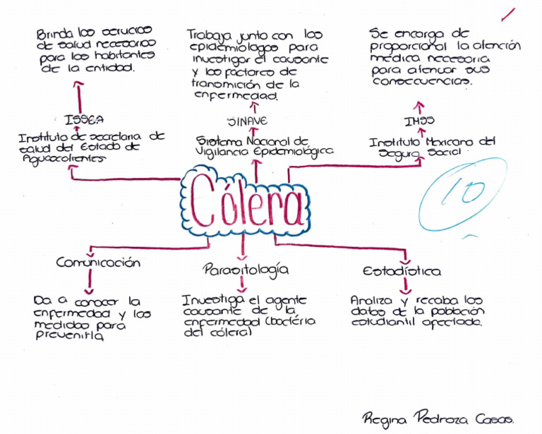 c-lera-mapa-conceptual-pdf