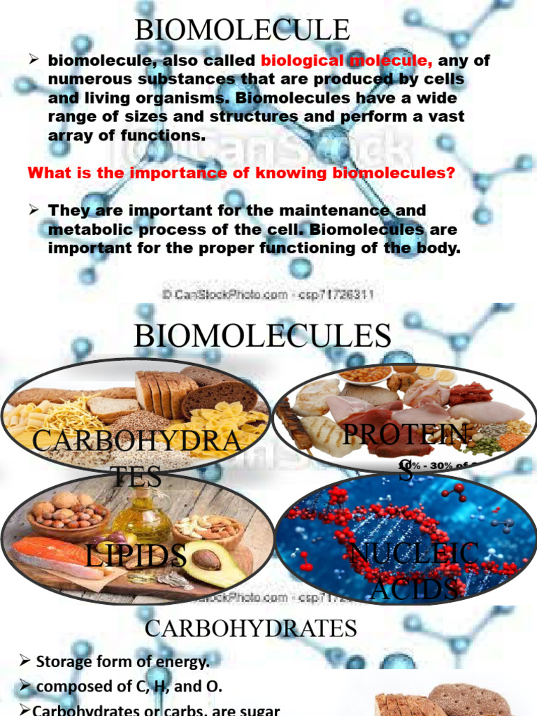 BIOMOLECULES PDF Carbohydrates Glucose