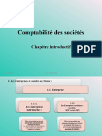 Introduction Comptabilité Des Sociétés