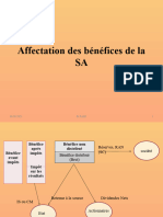 Affectation des bénéfices de la SA