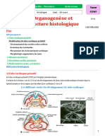 Organogenèse Et Structure Histologique