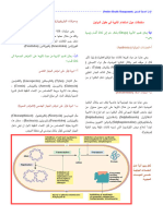 ج - ويفورتينلا تابكرم (زنار Nitrofurans) : ميسقت نكمي ةيودلأا ( (Drugs ماع لكشب ىلإ ةثلاث ماسقأ ر ةيسيئ:يهو