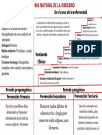 Historia Natural Obesidad