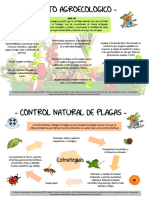 UFRO - Huerta Infografía Agroecologia - Manejo de Plagas