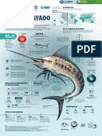 Infoposter Marlin