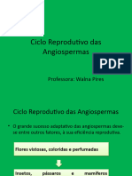 Aula Ciclo