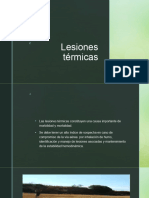 Lesiones Térmicas