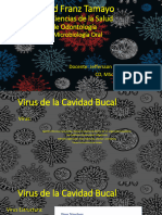 Virus Orales