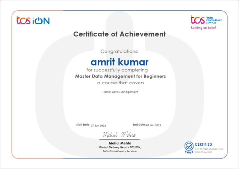 Beginner's Guide to Master Data Management | PDF