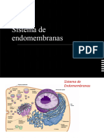 Continental Clase 6 Sistemas Endomembranas PAR1