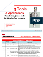 Logging tools and applications - Abbas Radhi_230930_214508