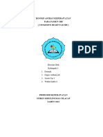 Konsep Asuhan Keperawatan Pada Pasien CHF (Congesive Heart Falure)