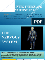 NERVOUSSYSTEM