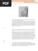 Energetics in Acupuncture Pages 2