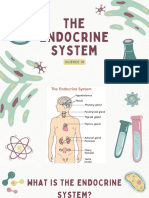 Endocrine System