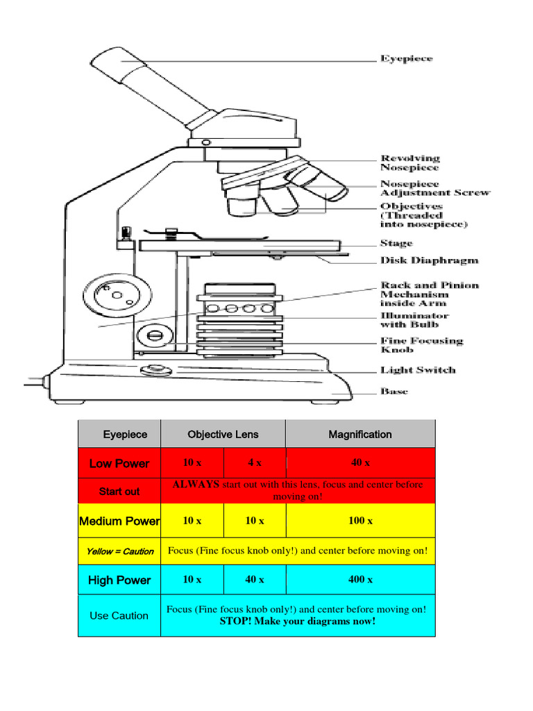 How To Use A Microscope PDF Microscopy Tools