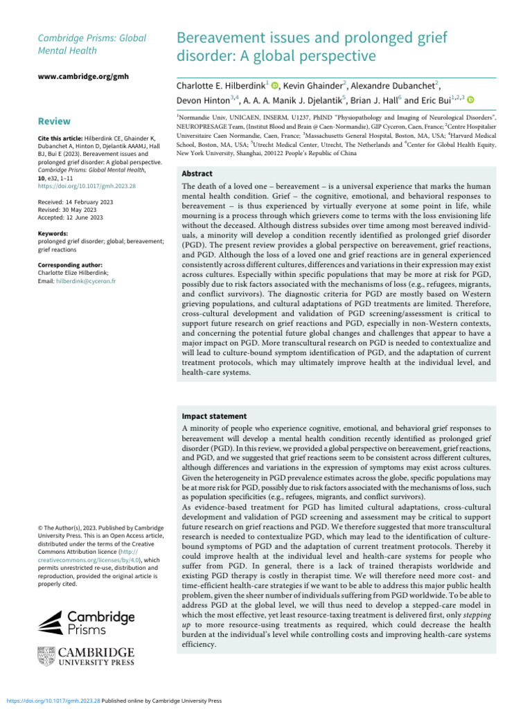 Bereavement issues and prolonged grief disorder a global perspective