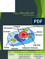 Cell Organelles