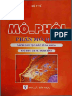 Mô phôi thầy Bình-1