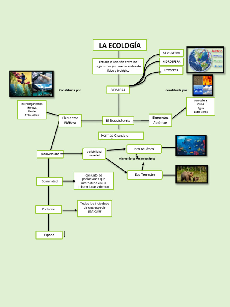 Mapa Conceptual de La Ecologia | PDF