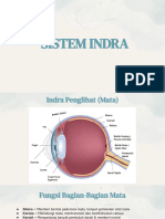 Sistem Indera - Biologi Kelas 11