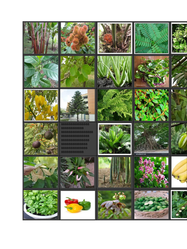 Mixed Content Patterns | PDF