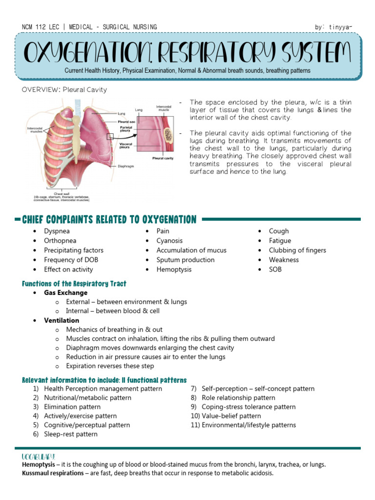 How To Document Normal Breath Sounds