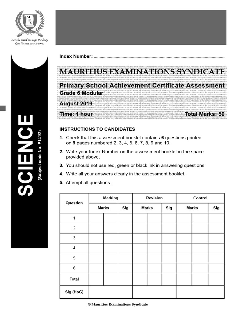 Grade 6 Science Assessment Guide | PDF