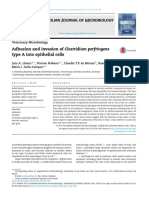 Adhesion and Invasion of Clostridium Perfringens Type A Into Epithelial Cells-2017