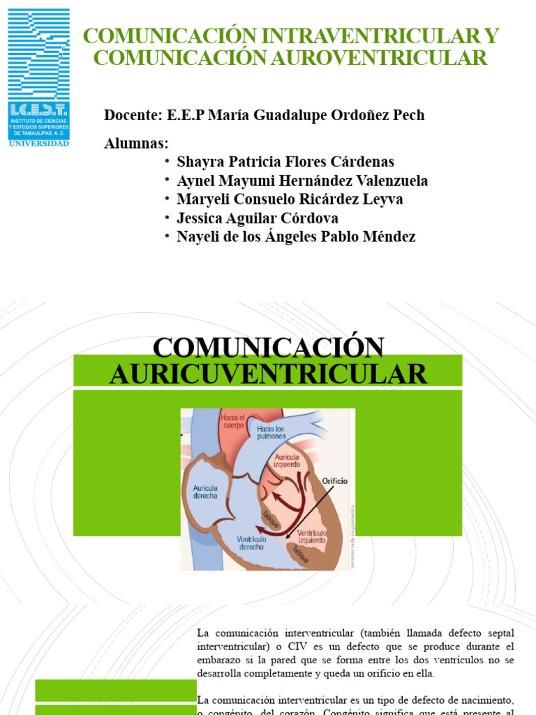 Comunicaci N Intraventricular Y Comunicaci N Auroventricular Pdf