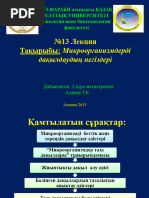 Қарт шығыс сұлуларының порнофотосуреттері