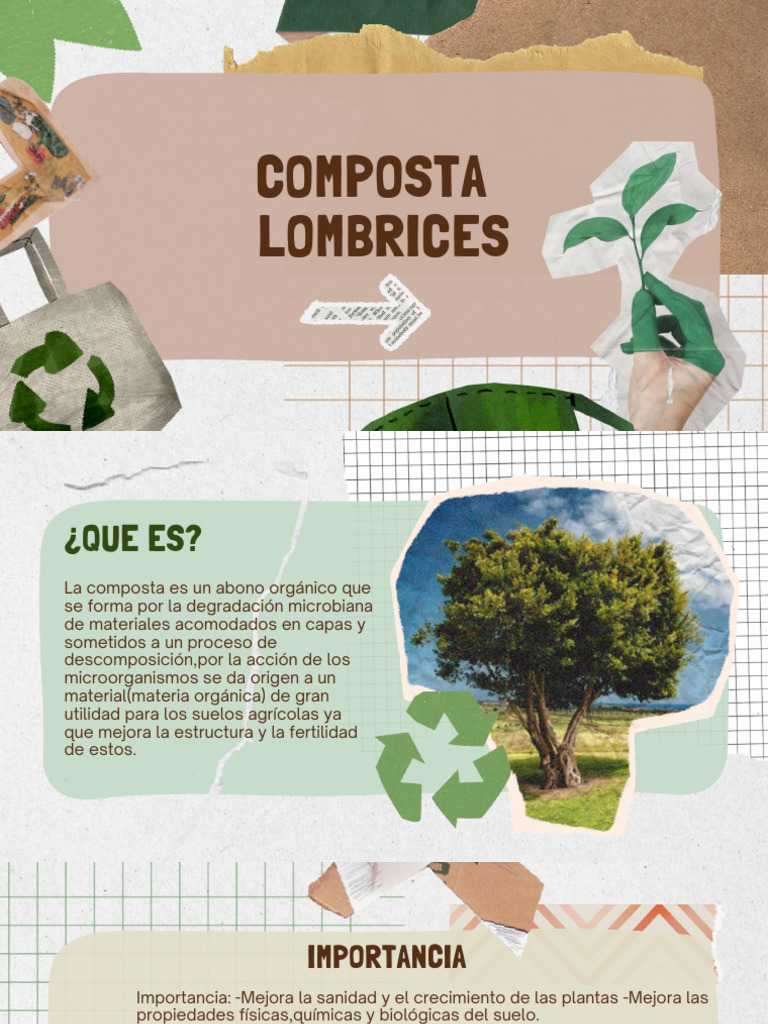 composta de lombriz | PDF | Compost | Suelo