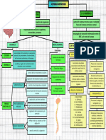 Mapa Sistema Nervioso