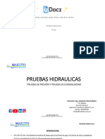 Pruebas Hidraulicas 326495 Downloadable 4108630