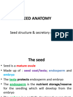 L4 - Seed+secretory Structures