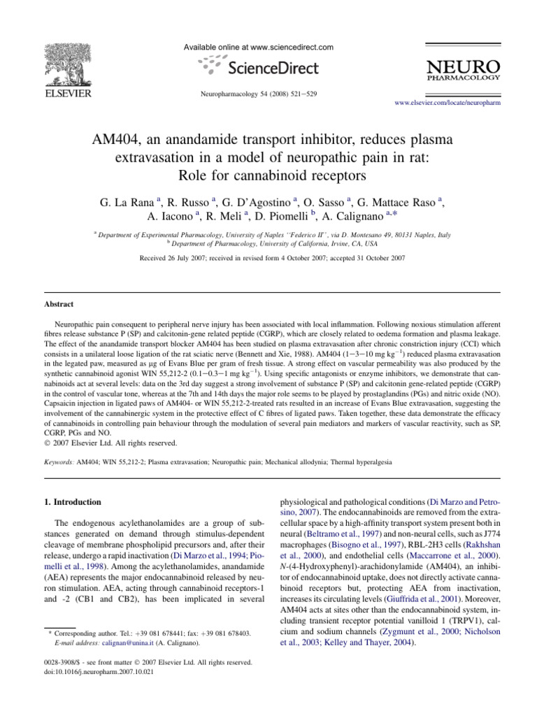 AM404 Anandamide Reuptake Inhibition-2p | PDF