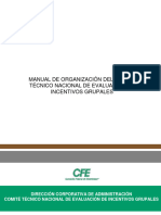 Manual de Organizacion Del Comite Tecnico Nacional de Evaluacion de Incentivos Grupales