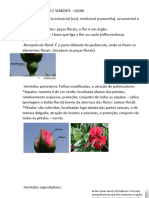 BOTÂNICA 02-06 Flor - Fruto.semente.