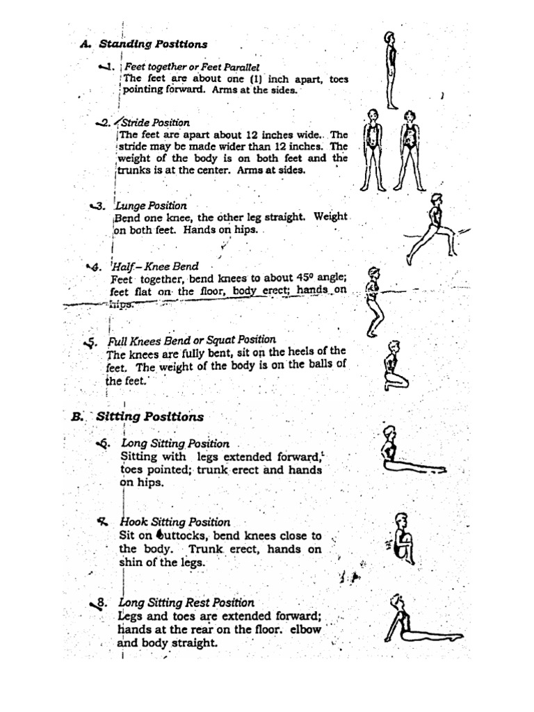 Basic Positions of Gymnastics PRINTABLE PDF