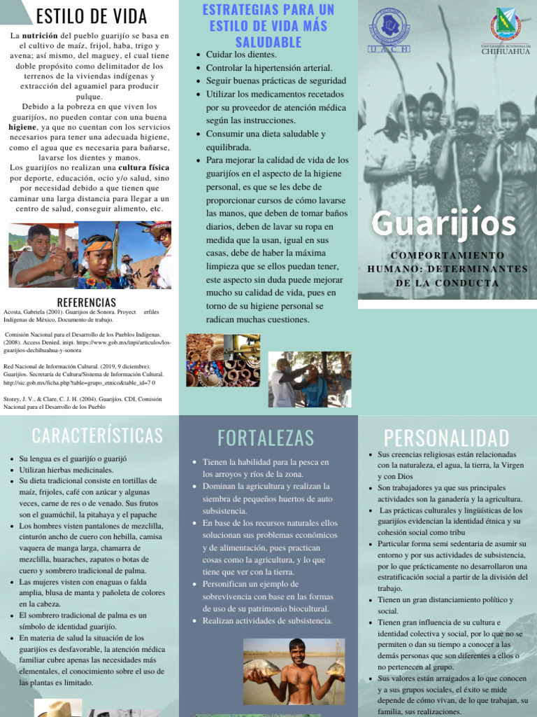 Alimentación y Cultura de los Guarijíos | PDF | Higiene | Agricultura